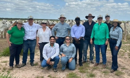 Image courtesy of University of Nottingham.