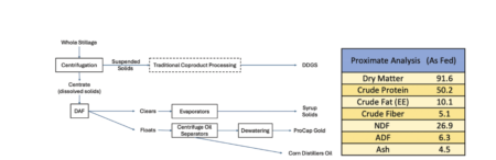 Figure 9.  Flow chart illustrating the main steps in the Marquis approach to separating and concentrating nutrient components, and typical nutrient profile for ProCap Gold. Based onmarquisincorporated.com anddistillersgrains.org.