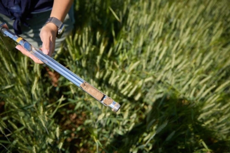 Dunfield’s research team will test sustainable nitrogen management strategies to improve wheat growth. Photo credit: University of Guelph.