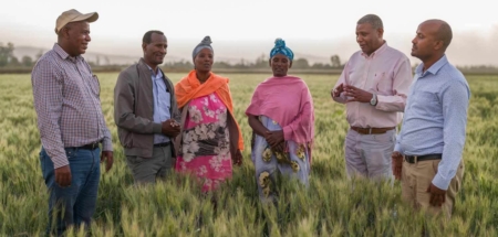 Demand for wheat in Tunisia continues to grow while production lags considerably. Photo courtesy of the AfDB.