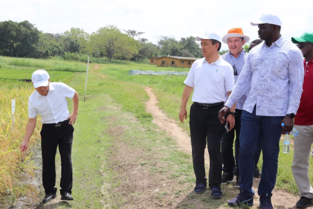 Field visit. Image courtesy of AfricaRice.