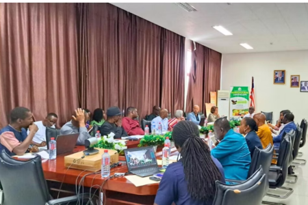 The second steering committee meeting ended with implementing partners (IPs) reflecting the project’s position toward Liberia’s National Agriculture Development Plan. Photo courtesy of George A. Harris, AfricaRice.