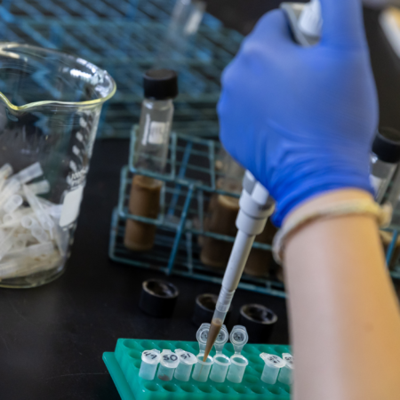 Image courtesy of Michigan State University.