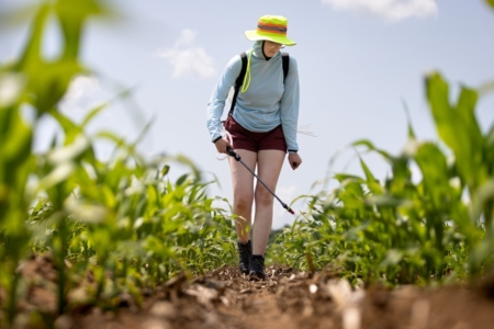 Eve Lazarski, an undergraduate student studying biology in CALS, sprays corn plants with a combination of beneficial bacteria in a field trial at Hancock Agricultural Research Station in Hancock, Wis. Michael P. King/University of Wisconsin-Madison