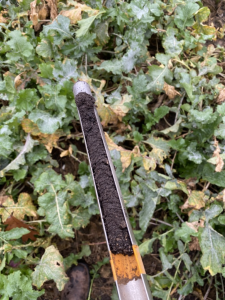 Image courtesy of Michigan State University.