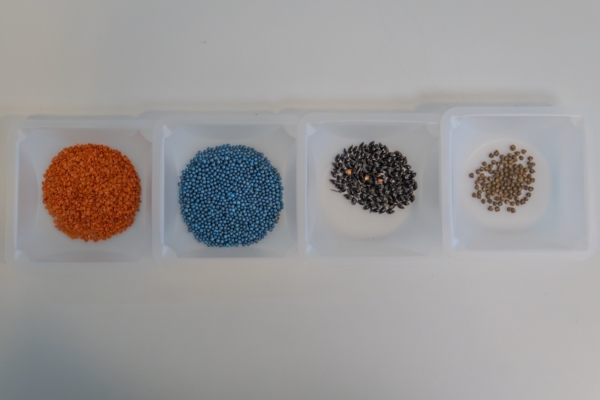 Seed samples at the Nijmegen facility. Photo credit: Gravity Gardens.