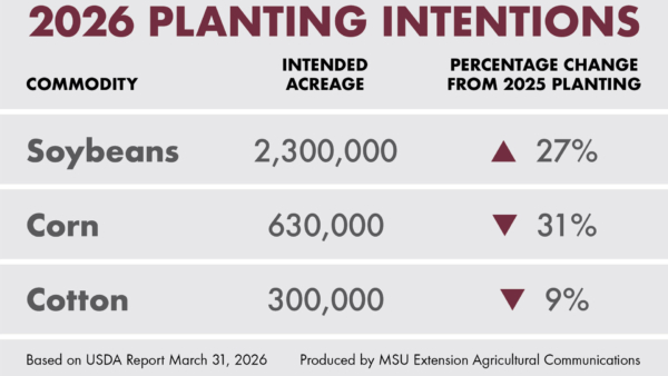 Growers in Mississippi plan to plant about 2.3 million acres of soybeans, a 27% increase over the 1.81 million acres planted last year. Falling commodity prices and rising production costs are prompting producers to scale back in corn, rice and cotton. Photo credit: Mississippi State University Extension Service.