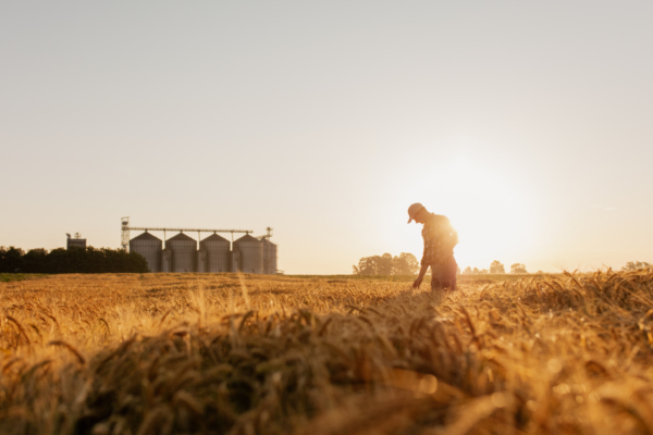 American agriculture contributes $10.4 trillion in economic value and supports nearly 49 million U.S. jobs. Photo credit: American Bakers Association.