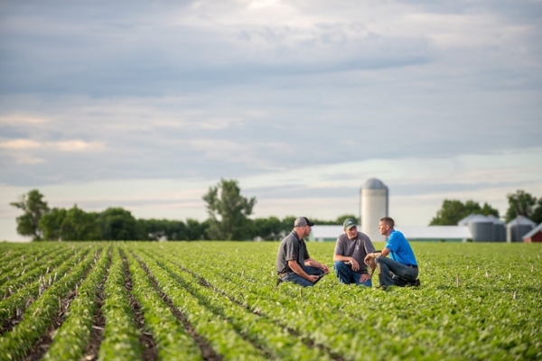 Photo credit: Pioneer.
