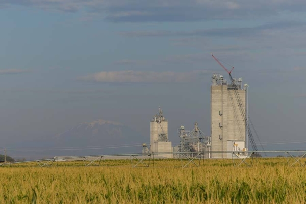 Photo credit: Cargill.