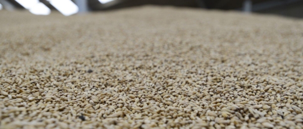 Photo credit: Frontier Agriculture.