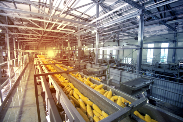 Moisture, chemicals, and organic materials make grain and oil facilities especially vulnerable to corrosion and contamination. Images courtesy of Sherwin-Williams