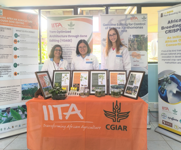 Multi-year partnership aims to strengthen breeding capacity and deliver breakthrough crop varieties for 30 million smallholder farmers across sub-Saharan Africa. Photo credit: International Institute of Tropical Agriculture.