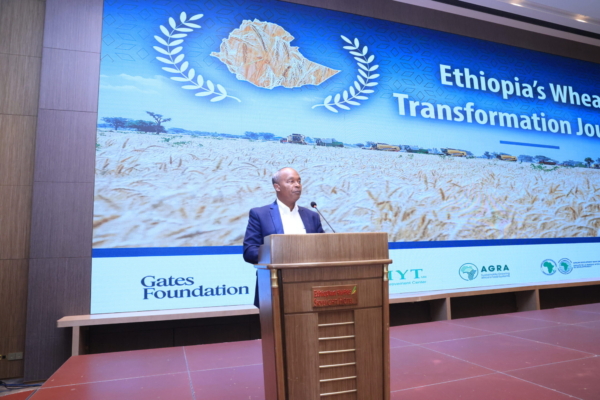 Ethiopia has transformed wheat sector. Credit: Ethiopian Transformation Institute.
