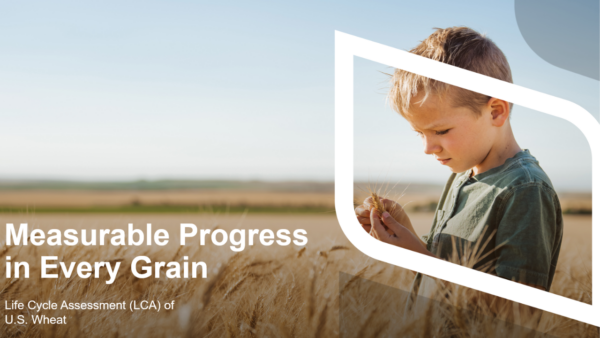 Image courtesy of U.S. Wheat Associates.