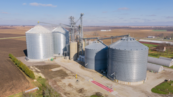 New construction at the Ludlow Co-op Elevator Co. elevator in Buckley, IL includes a 105-foot- and a 90-foot-diameter Sukup steel tank at far left and new receiving pit and GSI leg immediately to the right of the new tanks.