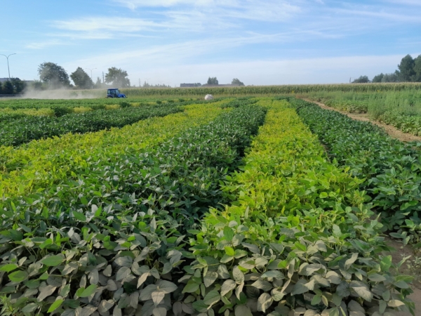 MagNfix trials in the field. Photo credit: Protealis.