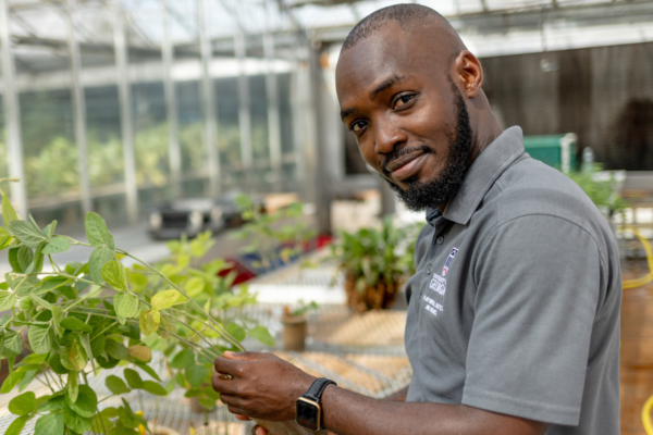 Mekidani Jacob Salu is a CAES doctoral student who was recently awarded the FFAR Fellowship. He is studying plant pathology with Melissa Mitchum, the Barry Bustillo Distinguished Professor in Plant Nematology, to tackle one of the most significant threats to U.S. soybean production: the soybean cyst nematode. Photo credit: Sean Montgomery, University of Georgia.