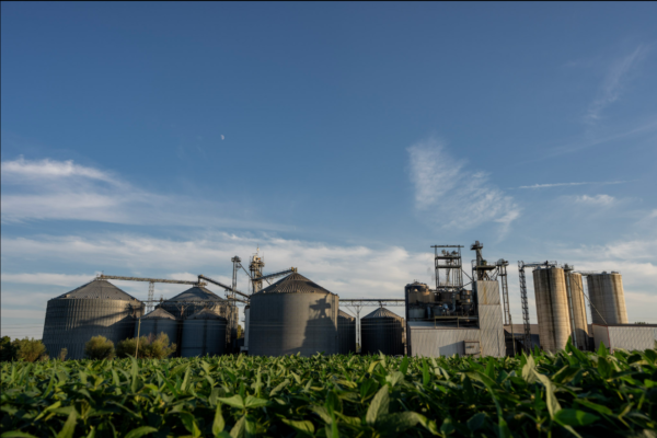 In 2023, White River Nutrition purchased the soybean processing facility at Seymour, IN from Benson Hill. Photos courtesy of White River Nutrition.