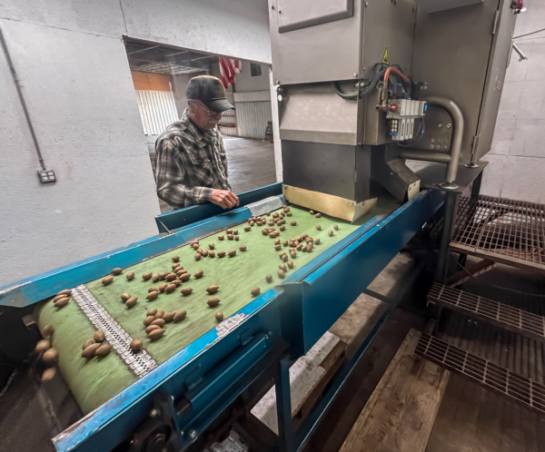Payne's Pecans relies on WECO’s Multiscan MXV-Bulk X-ray system to identify hidden defects and dense foreign material. Photo credit: WECO.