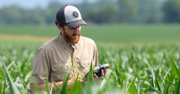 Photo credit: Wyffels Hybrids.