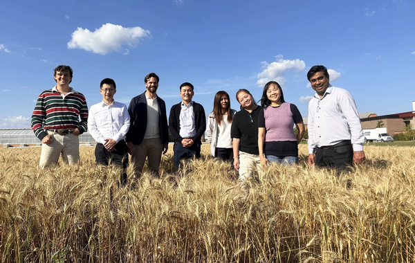 Wheat fields are a special place for Joe Bippert, a native of Washington. Since joining USW in 2021 and moving his family to Manila, Bippert has partnered with millers, bakers, importers and government agencies to strengthen market access and promote U.S. wheat throughout South and Southeast Asia. Photo credit: USW.