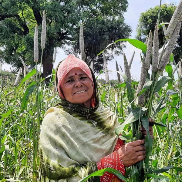 Image courtesy of CGIAR.