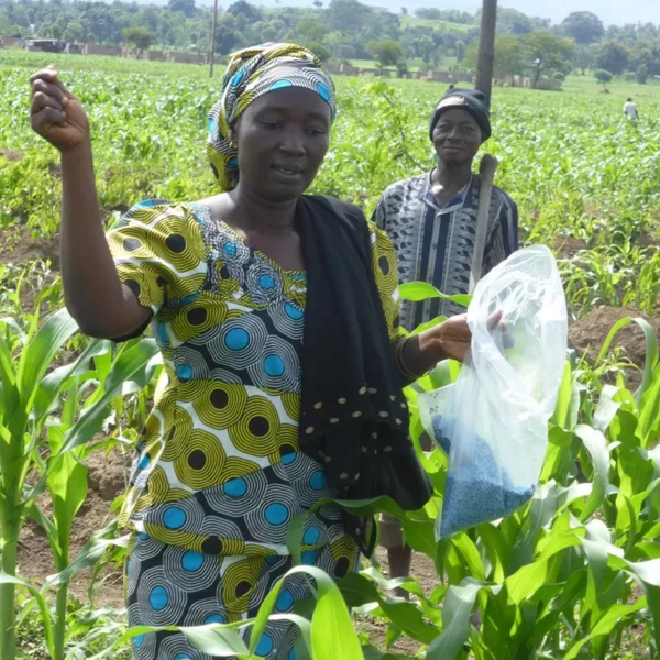 Image courtesy of CGIAR.
