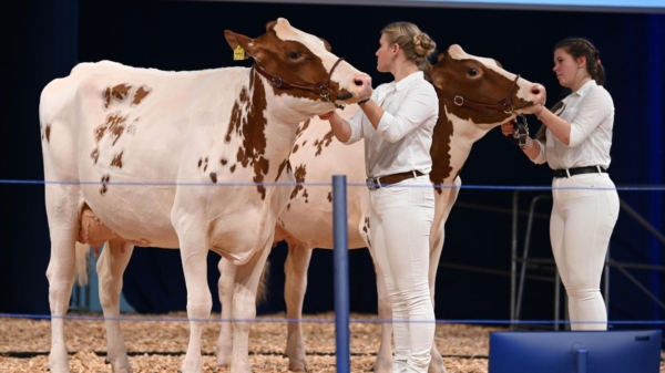 Photo credit: EuroTier.