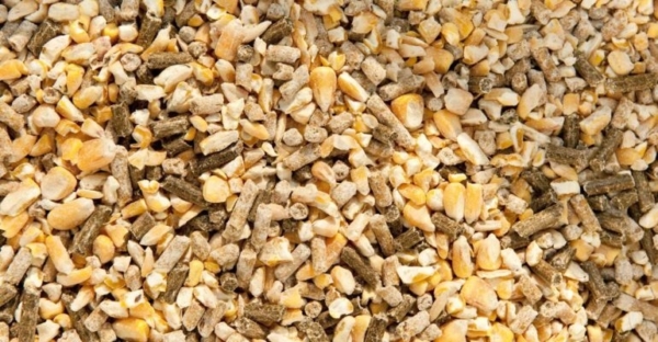 Image courtesy of the International Feed Industry Federation.