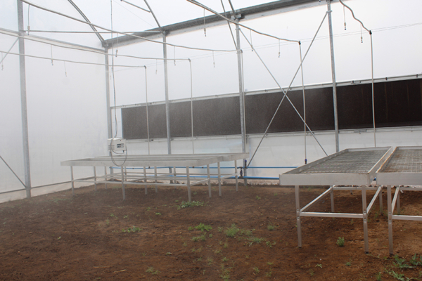 The automated greenhouse forms part of the North-West University’s efforts to strengthen research in agriculture and food security, while preparing students and researchers to respond to changing environmental and production conditions. Photo credit: North-West University.