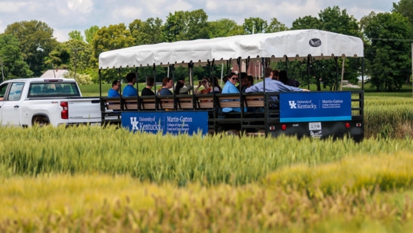 The annual UK Wheat Field Day serves as Kentucky’s premier opportunity for growers and industry partners to learn about the latest wheat research, interact with university specialists and see ongoing trials at the UK Research and Education Center. Photo credit: University of Kentucky/Matt Barton.