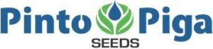 Pinto Piga Seeds