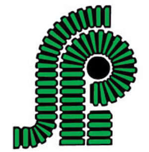 Springfield Plastics, Inc.