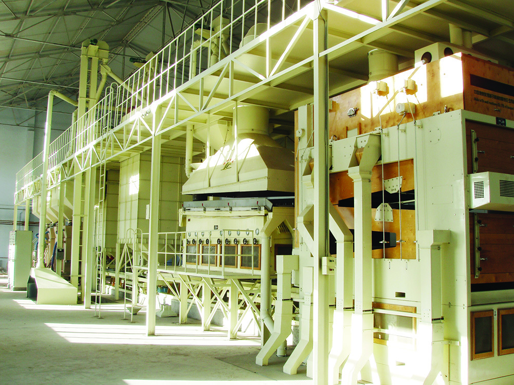 Turn-key-seed-plants.jpg#asset:213303