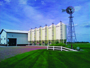 Bulk Seed System