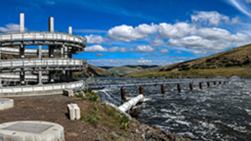 A fish ladder at the Lower Granite Dam on the Snake River in Washington