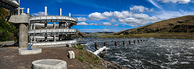 A fish ladder at the Lower Granite Dam on the Snake River in Washington