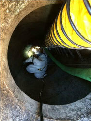 ventilation-pic.jpg#asset:182910