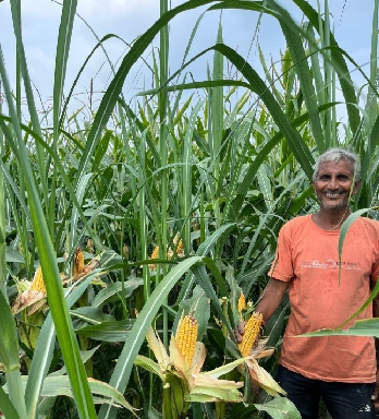 Image courtesy of the Indian Council of Agricultural Research.