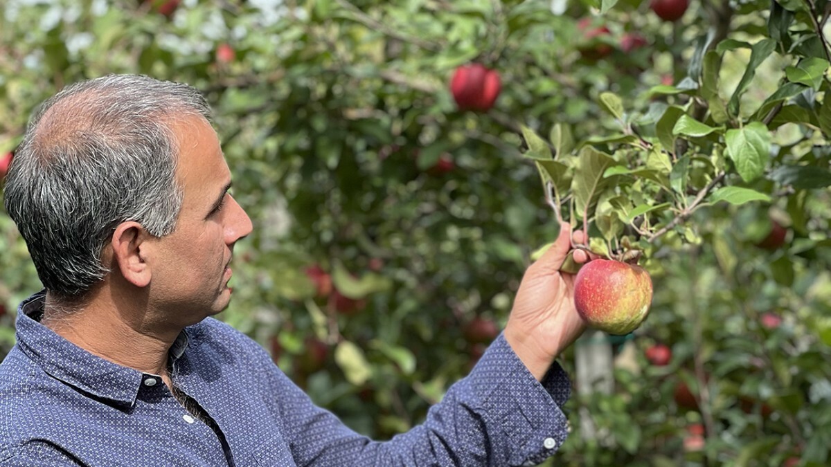 Honeycrisp Genome Will Help Scientists Breed Better Apples Seed…
