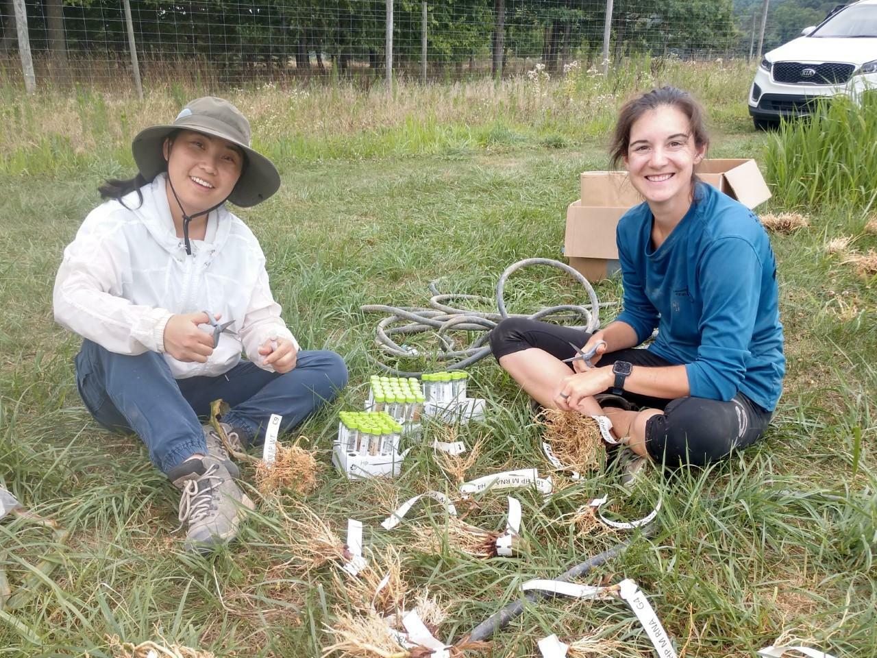 Researchers Get USDA NIFA Grant To Study Corn Plant Nutrient Use 
