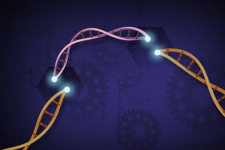 university-of-maryland-associate-professor-introduces-new-crispr