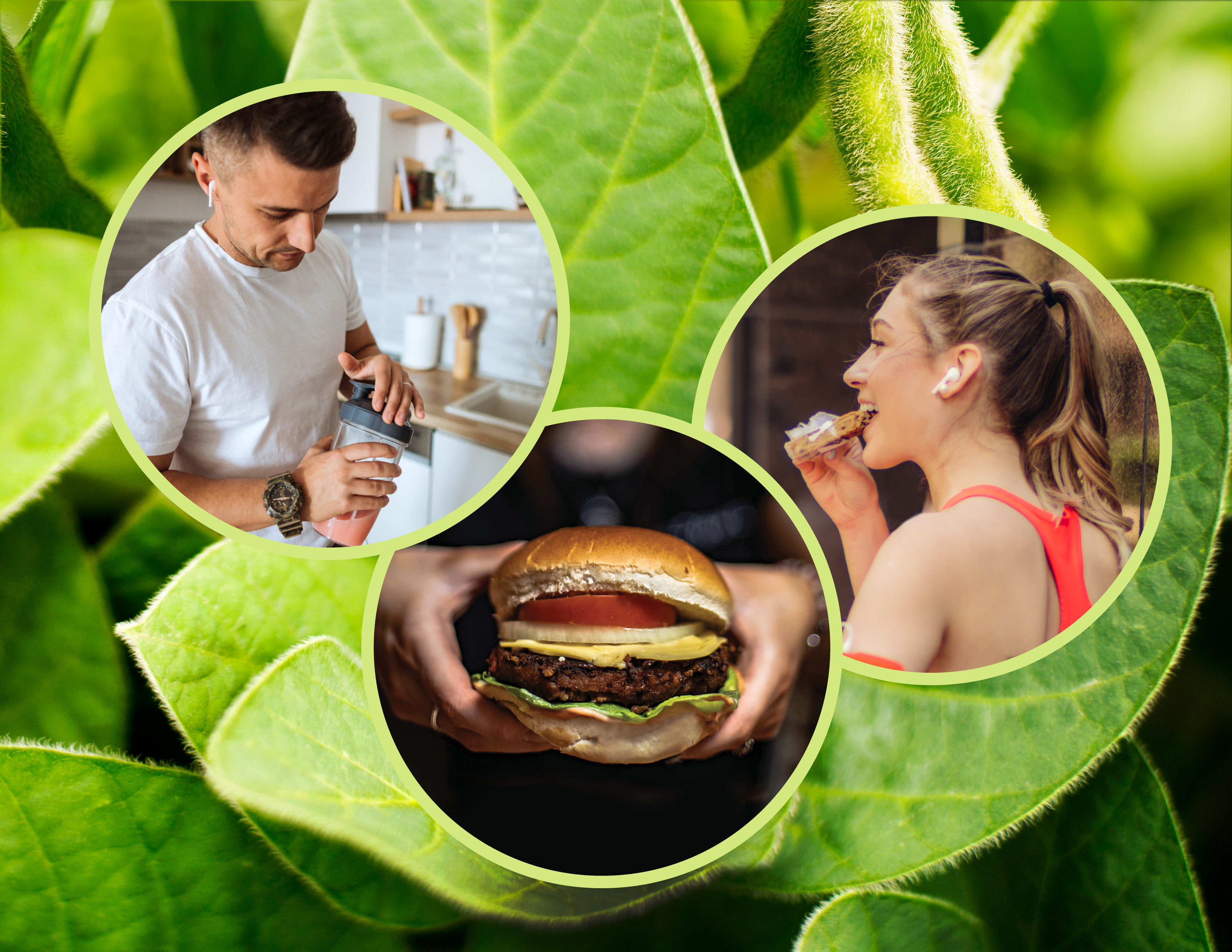 Benson Hill Announces First Commercially Available UltraHigh…