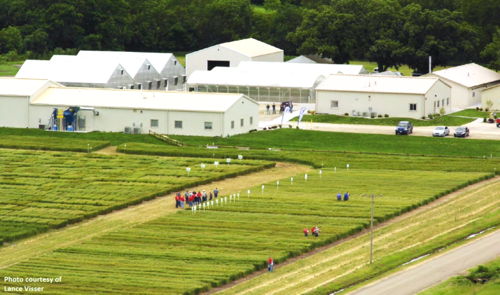 U.S. Wheat Associates Syngenta’s Hybrid Wheat Commitment