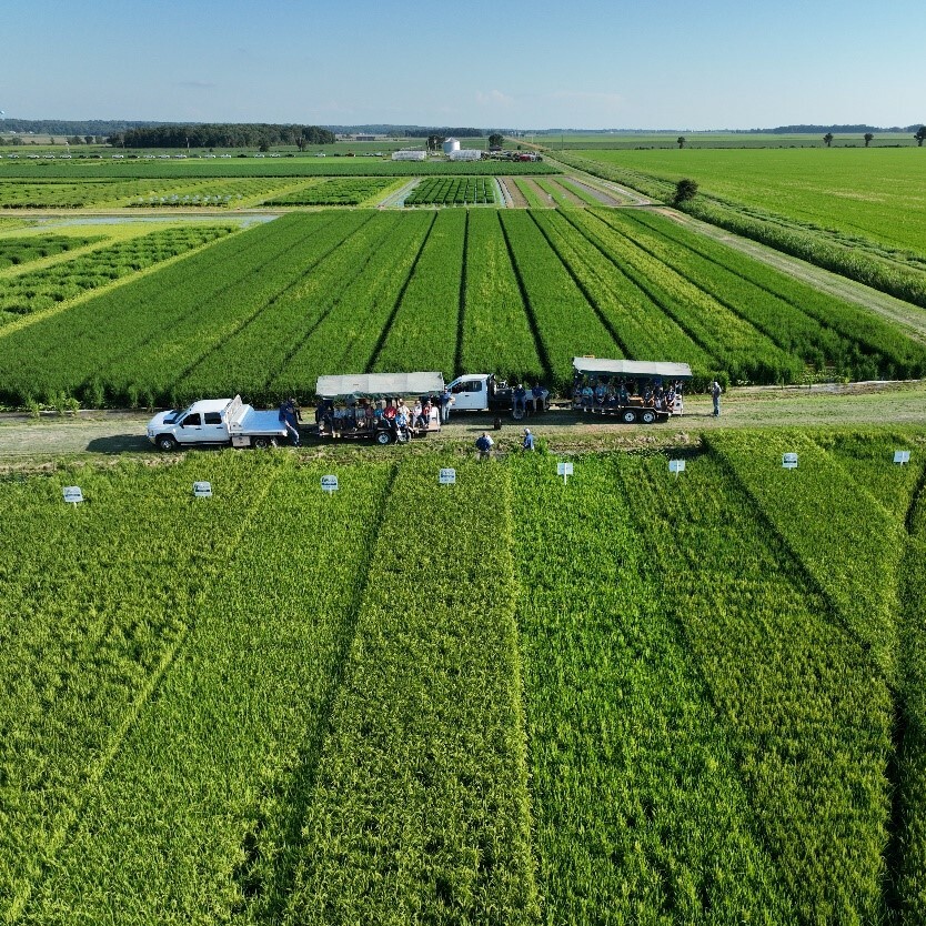 RiceTec Introduces New CEO and First Medium Grain Hybrid At Field Day…