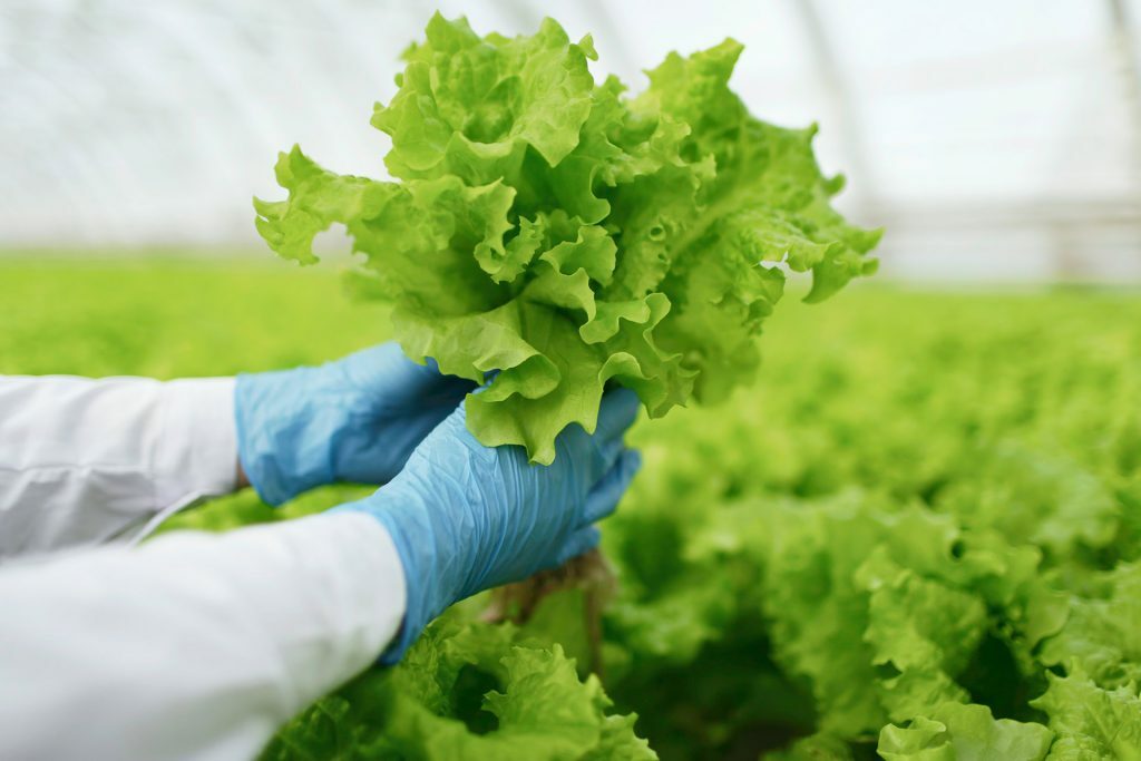 Foundation for Food and Agriculture Research Accelerates…