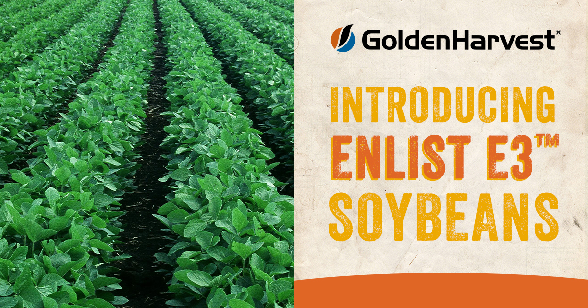 Golden Harvest Brings More Choices To Farmers, Expands Soybean…