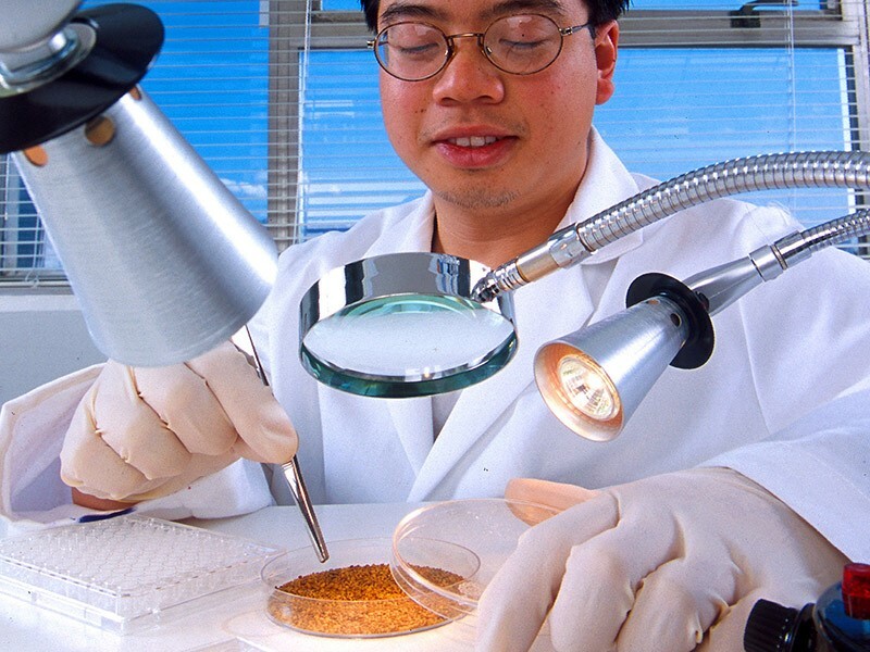 Plant Protection and Quarantine (PPQ) Program Protects Seeds Seed…