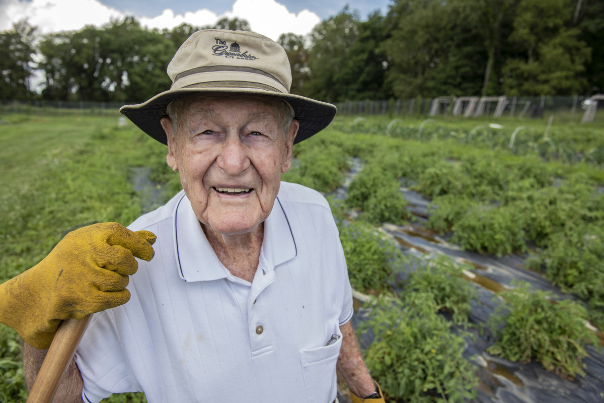 retired-west-virginia-university-plant-pathologist-donates-tomato